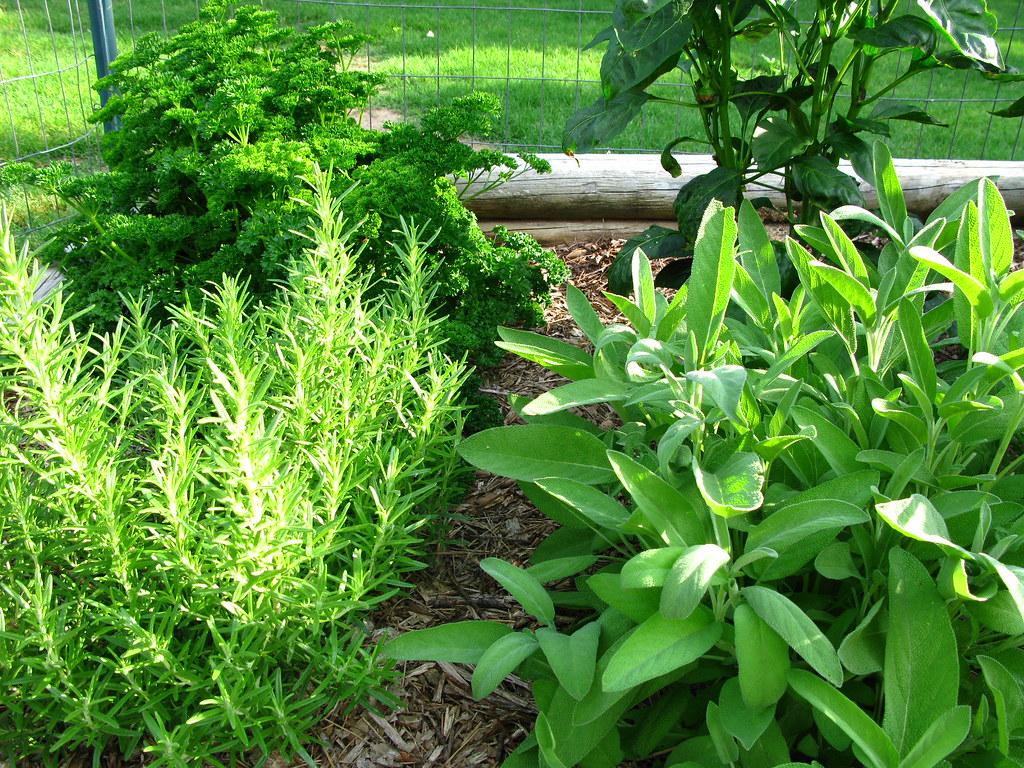 Mixed Herbs