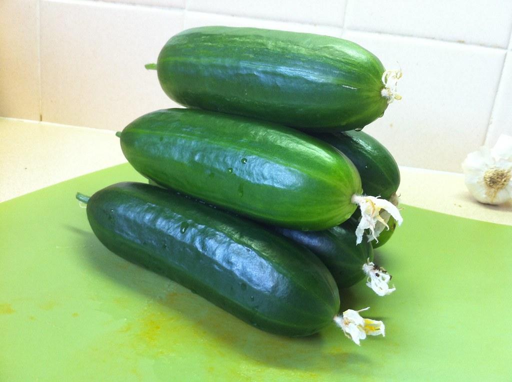 Cucumbers — Greenhouse