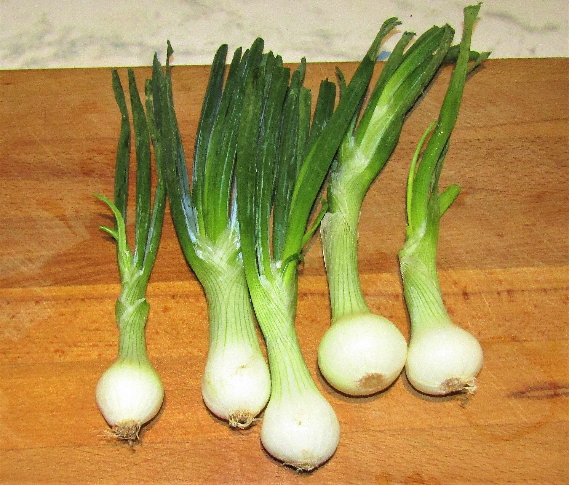 Spring Onions — Open Field
