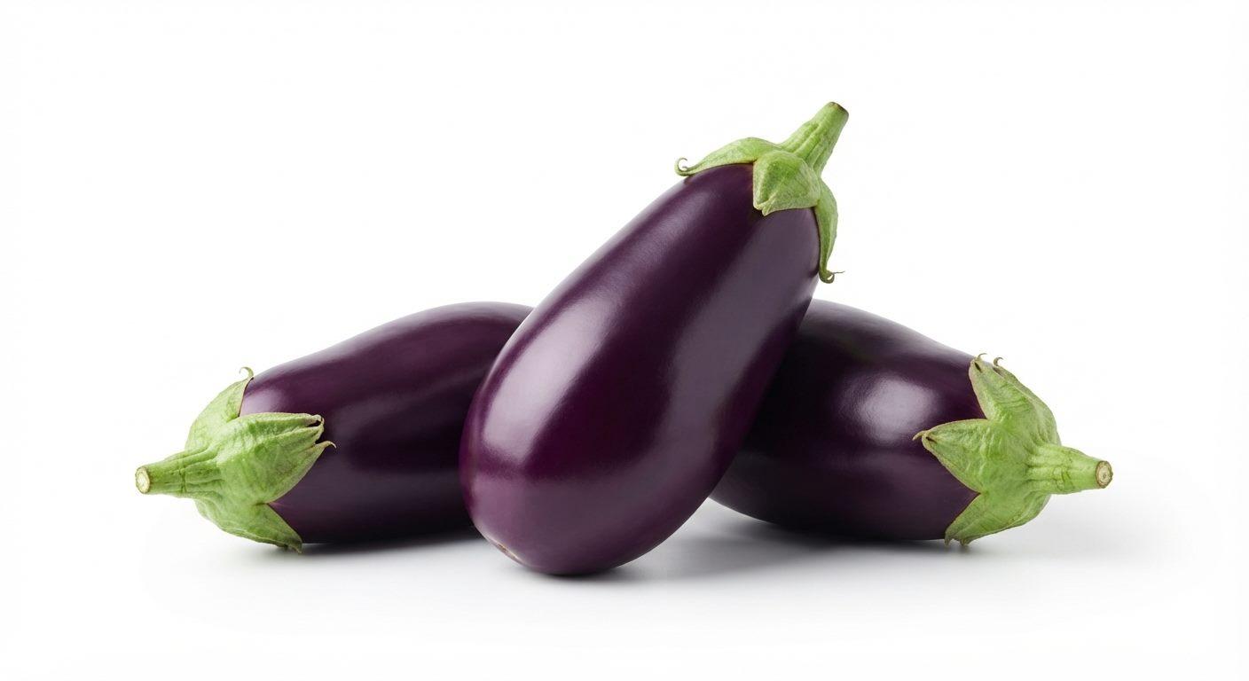 Aubergine