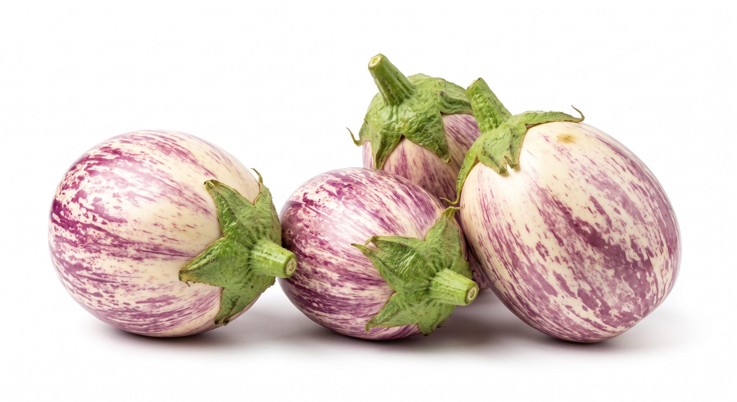 Eggplant Rosa