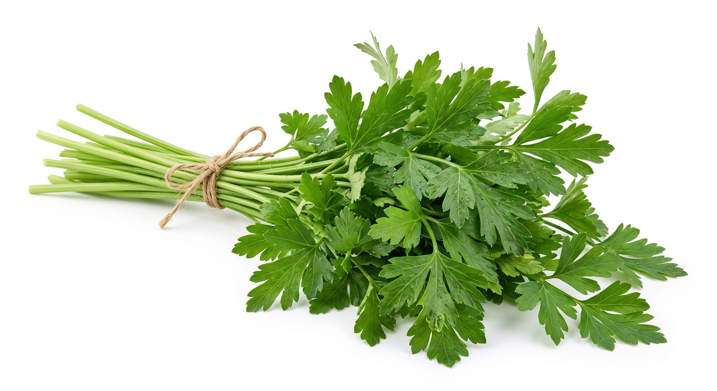 Parsley